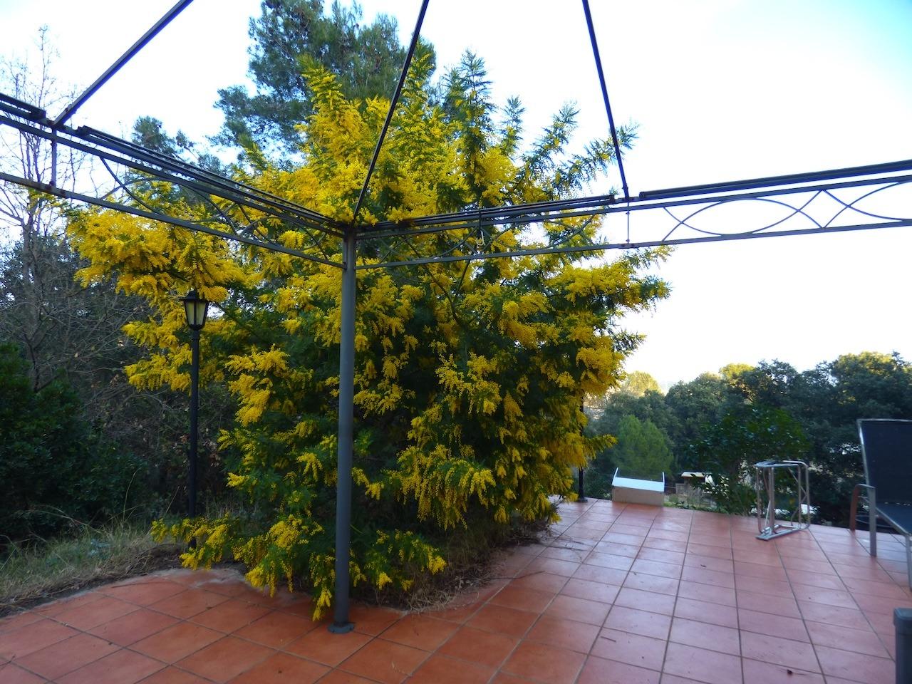 Casa En Venda Palafolls